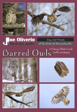 6-Barred-Owls-Index-2019