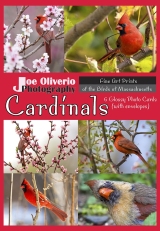 6-Cardinal-Card-Set-Index-2018
